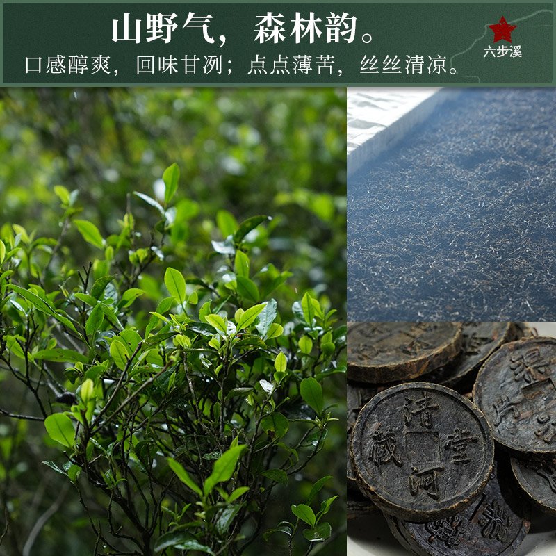 白沙溪 安化黑茶六步玲珑 天尖薄片 60克