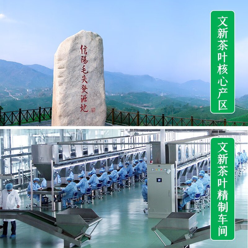 【中国直邮，时效7-15天】文新绿茶2026新茶4A非遗手工信阳毛尖特级200g明前罐装抢新