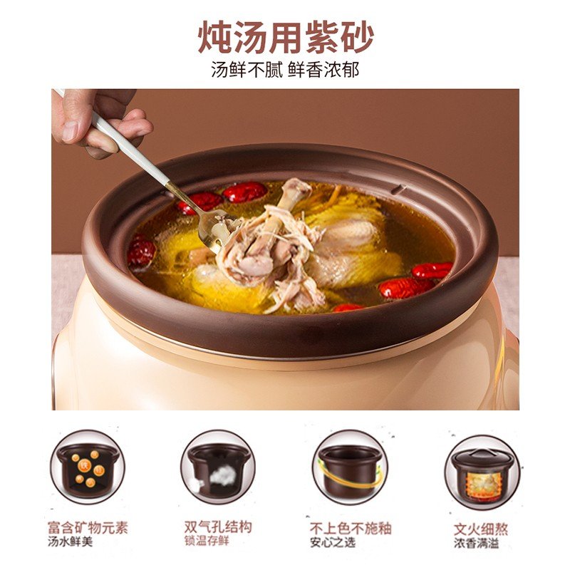 Tianji 天际 电炖锅DGD40-40SED 煲汤锅炖汤锅 紫砂内胆智能预约可定时 4L 