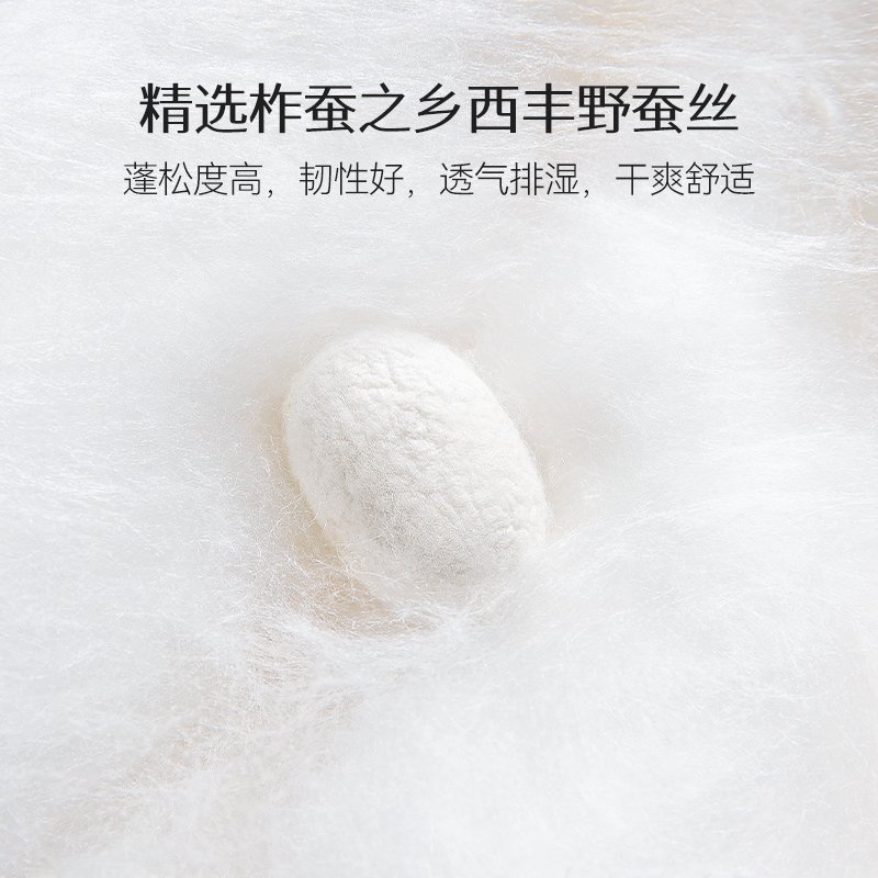 蚕花娘娘 可水洗凉感蚕丝夏被 100%蚕丝填充 空调被芯 200*230cm (300g) 蓝色 绿色