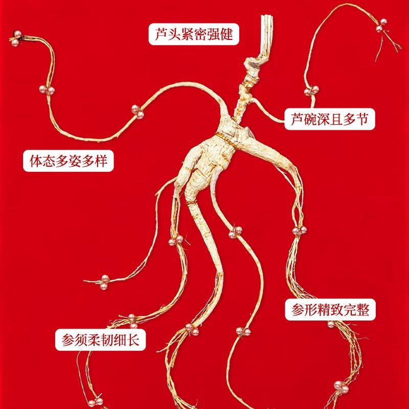 【中国直邮，时效5-12天】长白山人参 官方15年及以上野山参礼盒【附野山参鉴定证书】   礼盒装 5g*1盒