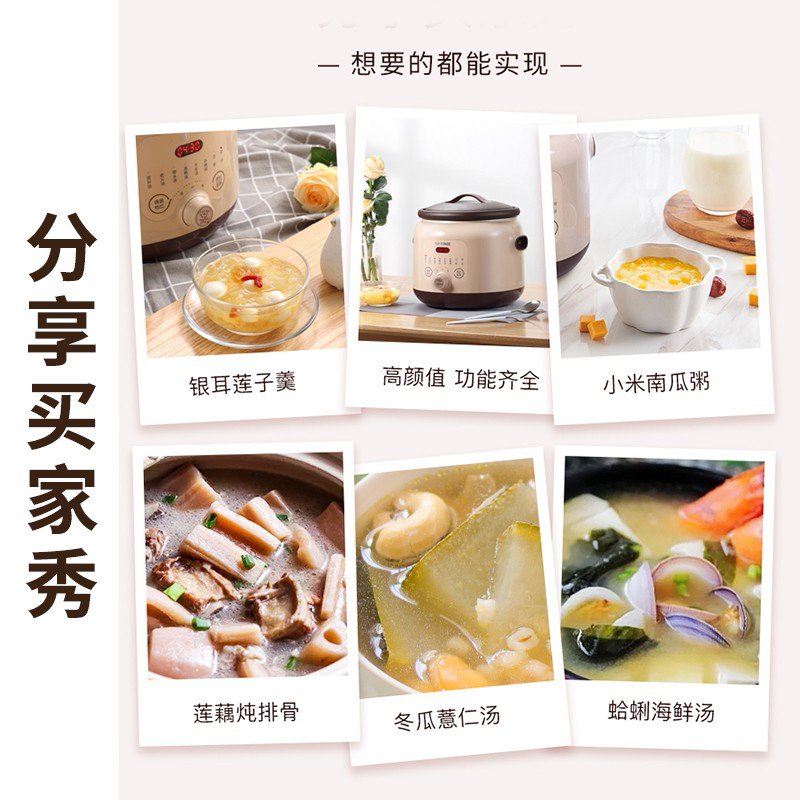 Tianji 天际 电炖锅DGD40-40SED 煲汤锅炖汤锅 紫砂内胆智能预约可定时 4L 