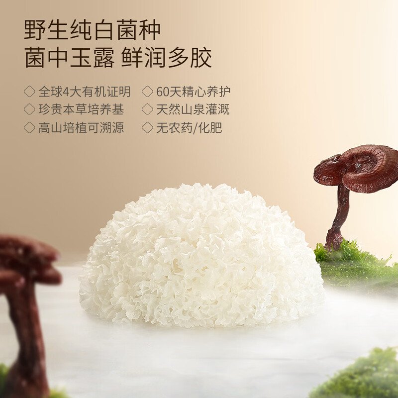 【中国直邮，时效5-12天】金燕耳 金萃高山生态有机银耳35g/罐*2南北干货银耳羹 C03502冲泡即食-共70g 两罐装