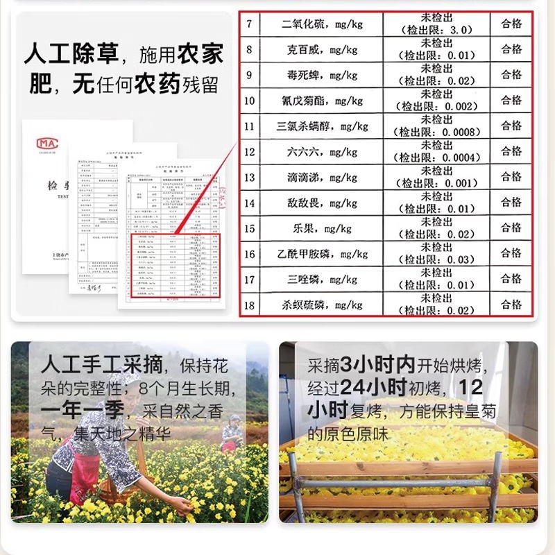 【中国直邮，时效7-15天】婺牌 婺源绣球皇菊菊花茶 江西特产花茶礼盒 金丝皇菊特级茶 婺源皇菊花王 两盒装 48朵