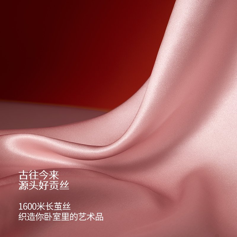 蚕花娘娘 100%桑蚕丝全真丝枕套 高档单人丝绸枕套 三色可选 74*48cm