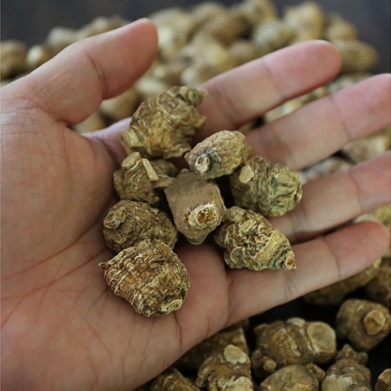 旭龙行 半野生花旗参 威州珍珠花旗参 3-6年生珍珠泡参 全修剪