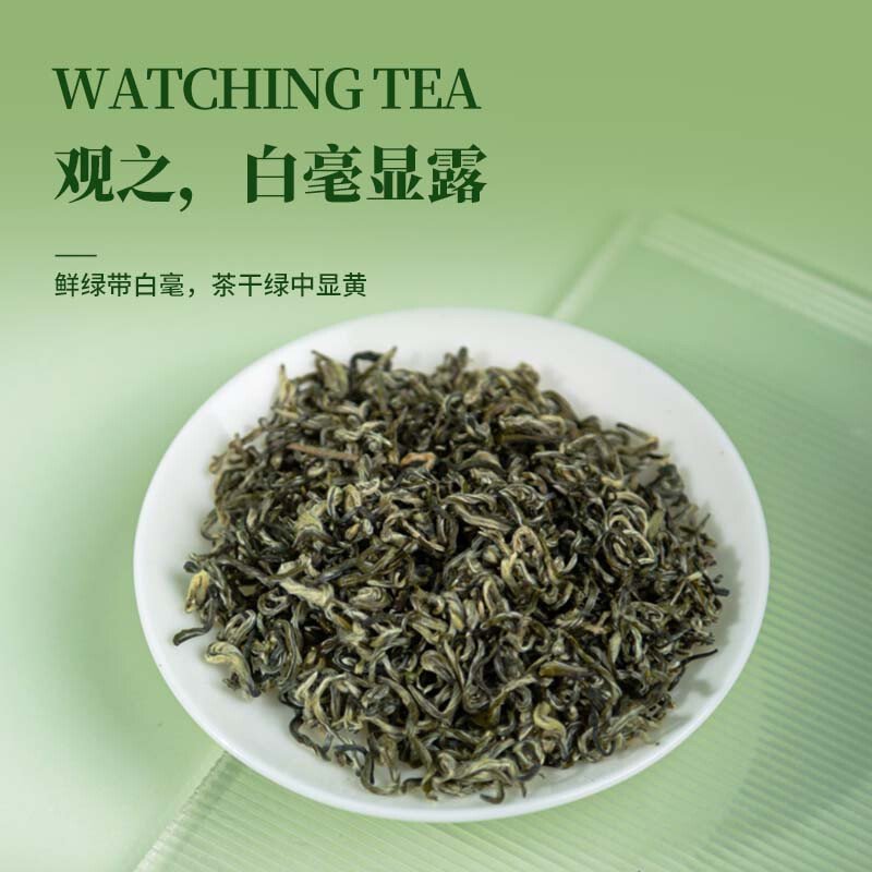 【中国直邮，时效7-15天】贵天下2026新茶明前都匀毛尖绿茶叶珍品茗茶芽茶贵州高山云雾100克