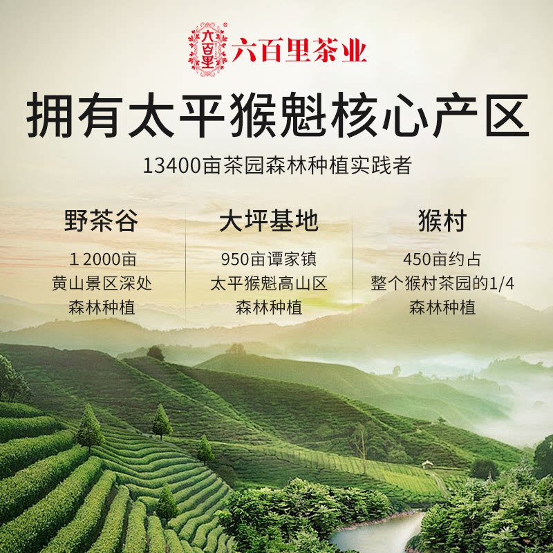 【中国直邮，时效7-15天】2026年新茶六百里太平猴魁茶叶猴坑手工特级50g绿茶