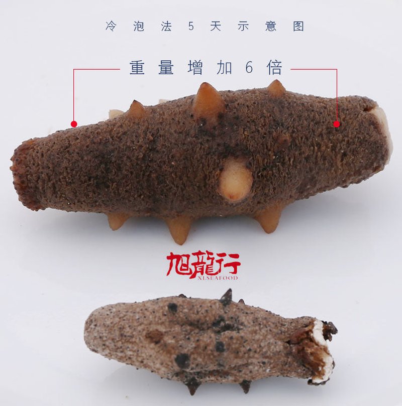 旭龙行 野生淡干一级加州八角参
