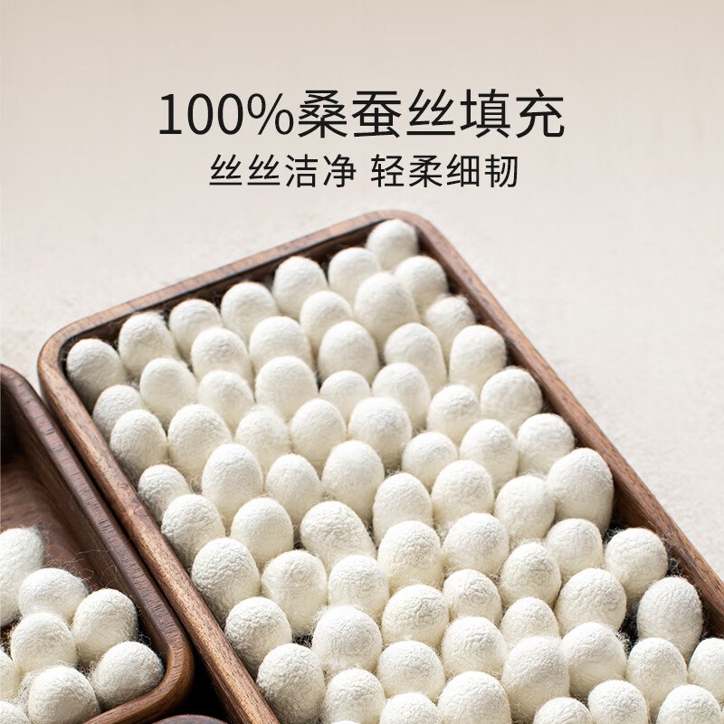 蚕花娘娘 蚕丝被100%桑蚕丝（长丝+中短丝）双人被芯字母被-慕白（500g+1000g 220*240cm）