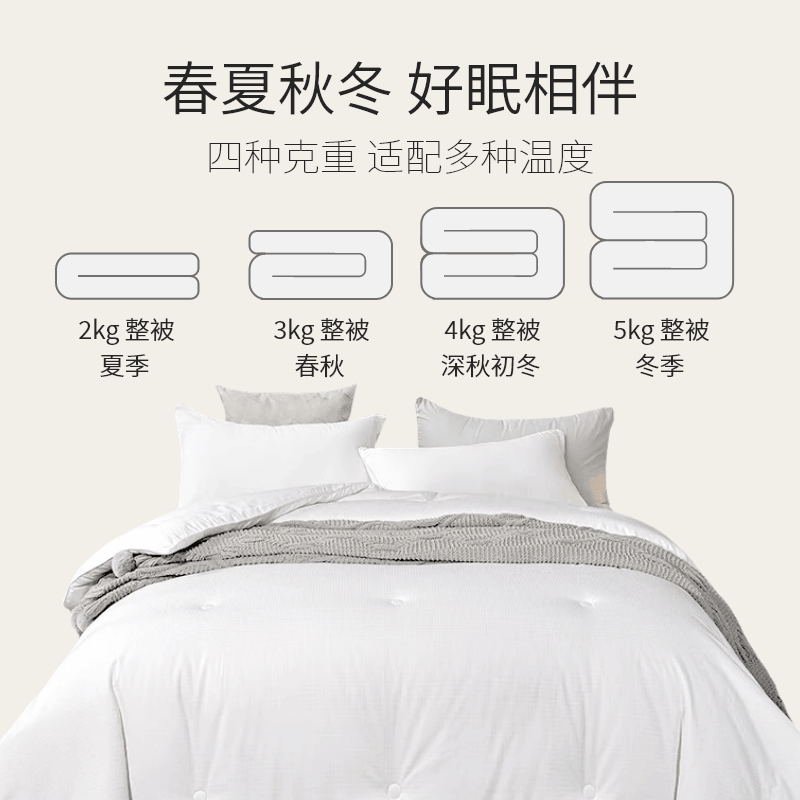 【中国直邮，时效6-10个工作日】Lullabuy桑蚕丝被子 100%纯桑蚕丝被芯 白色 King Size/Queen Size/Double Size/Twin Size