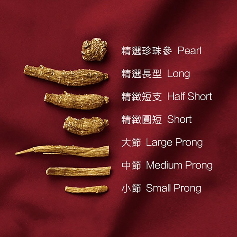 许氏（Hsu’s） 精选珍珠花旗参大号美国威斯康星州西洋参5年根4盎司
