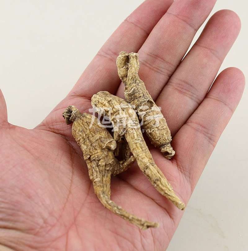 旭龙行 特级威州移种半野生 短枝花旗参3-5年参