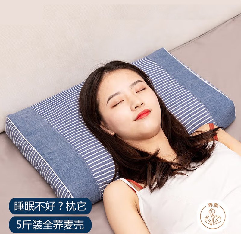 蜀国御 全荞麦壳颈椎睡觉夏季专用硬枕头养生枕配水洗全棉枕套-2.5kg全荞麦壳