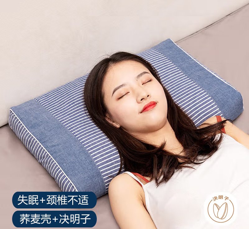 蜀国御 荞麦壳决明子枕头枕芯颈椎睡觉夏季专用硬枕头配水洗全棉枕套-2kg荞麦壳+1kg决明子