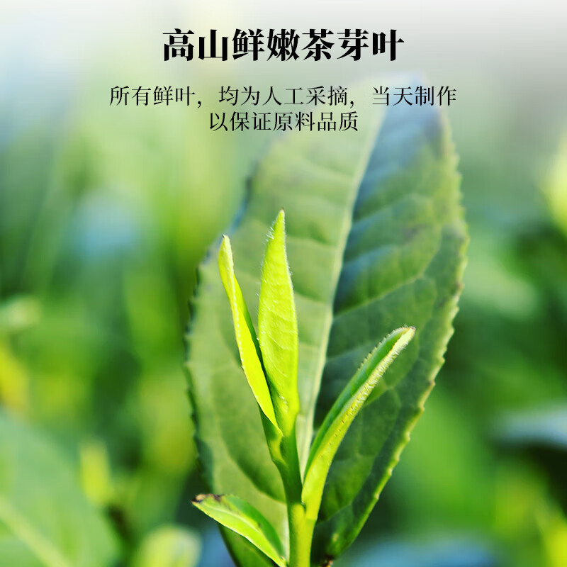 【中国直邮，时效10-15天】文新 绿茶1915信阳毛尖特级160g 2024年明前礼盒装新茶上市