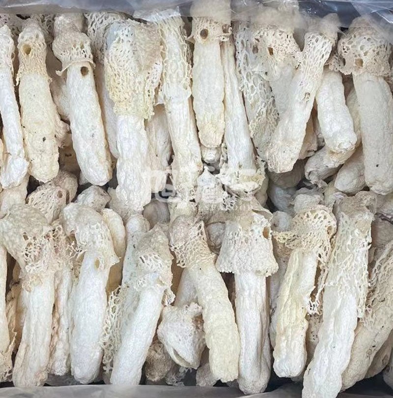旭龙行 云南香格里拉 野生菌 特级 全干 野生竹笙 4OZ 113克装 