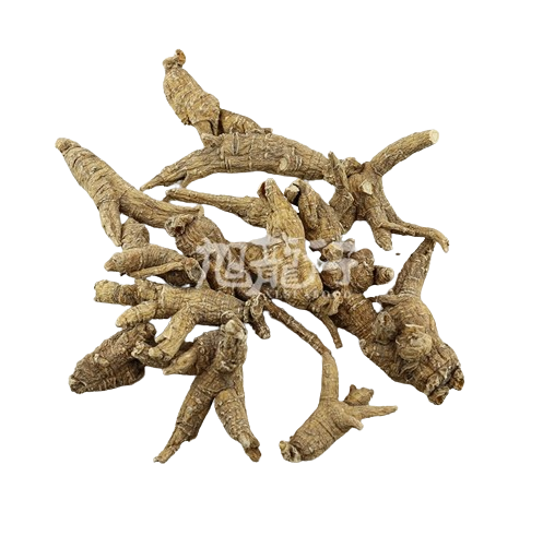 旭龙行 特级威州移种半野生短枝花旗参3-5年参 #90/#40 0.5磅