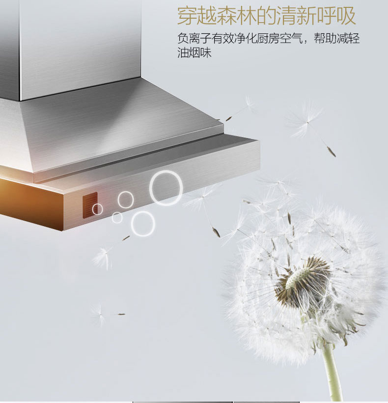 FOTILE方太EMS9018欧式油烟机