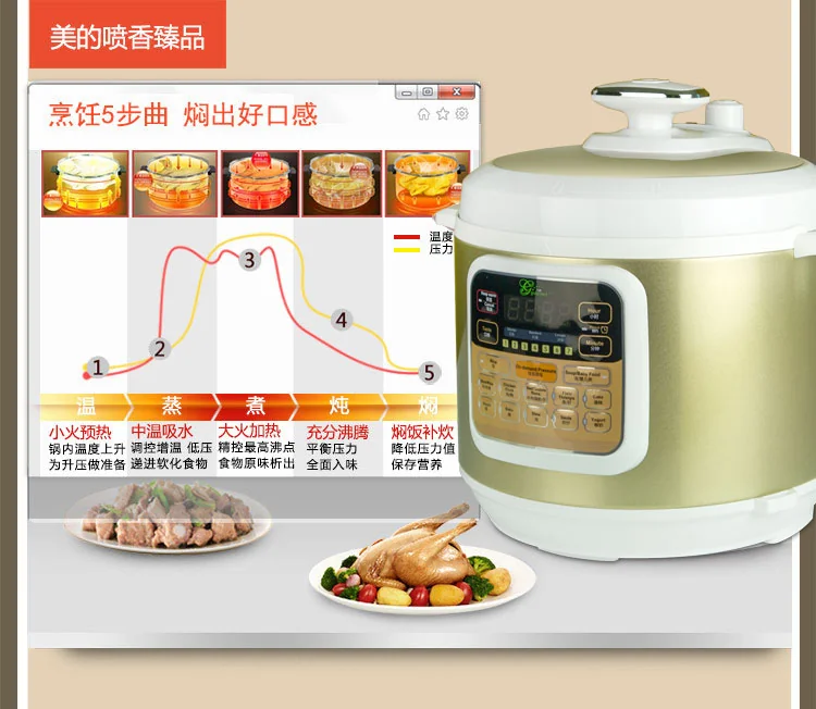 Gourmet Electric Pressure Cooker BT100-6L detail image 4
