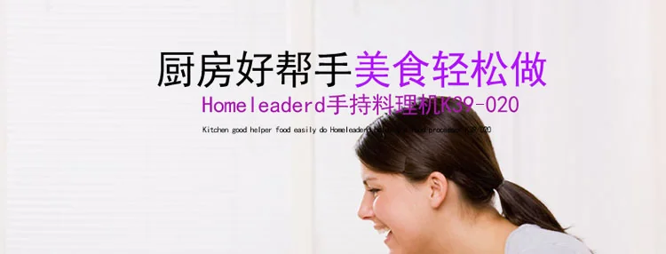 Homeleader hand blender K39-020 detail image 1