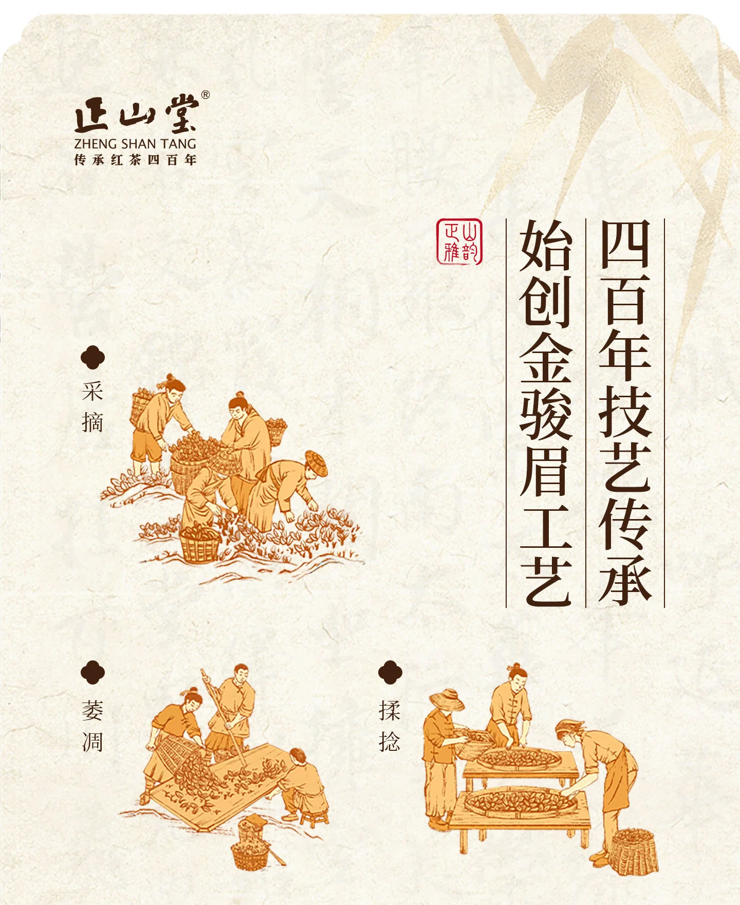 Zhengshantang, Jinjunmei Black Tea, Wuyi Black Tea, Authentic Wuyishan Tongmuguan Premium Tea, Small Can, 50g detail image 5
