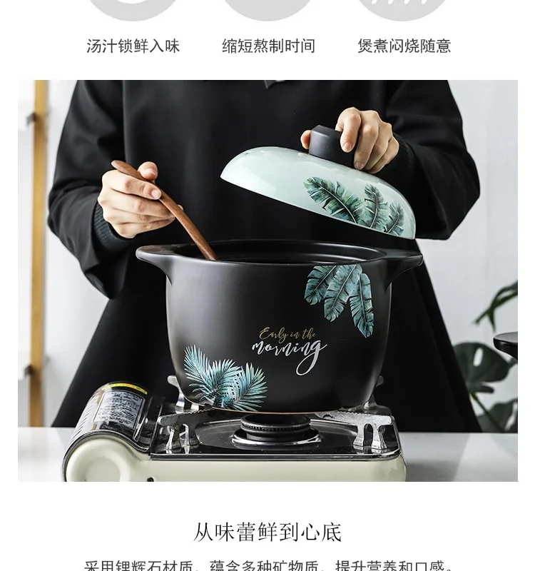 Becware 养生陶瓷煲 陶瓷砂锅 优质陶瓷无涂层 蓄热保温 热带雨林 3L detail image 5