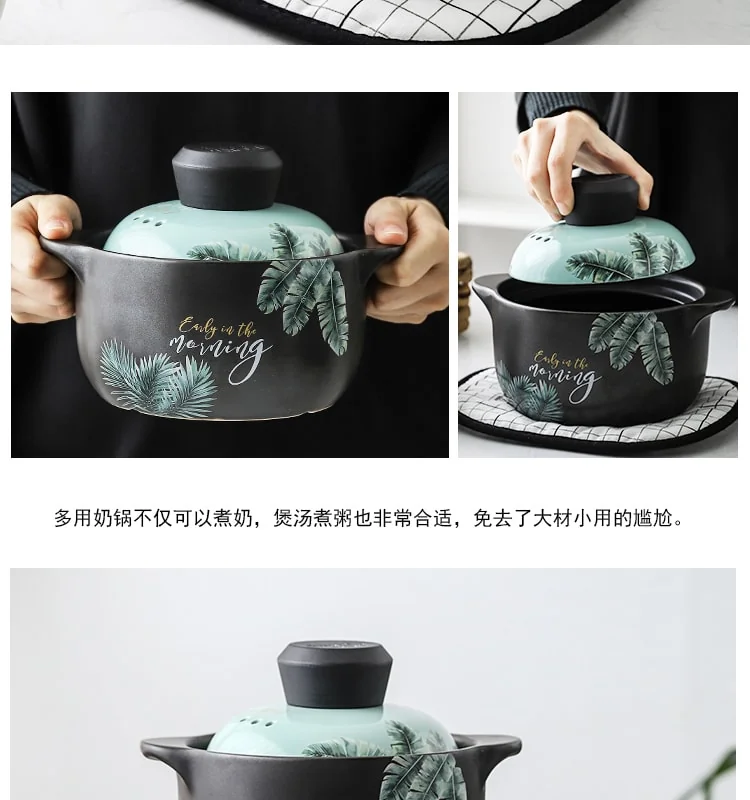 Becware 养生陶瓷煲 陶瓷砂锅 优质陶瓷无涂层 蓄热保温 热带雨林 3L detail image 7