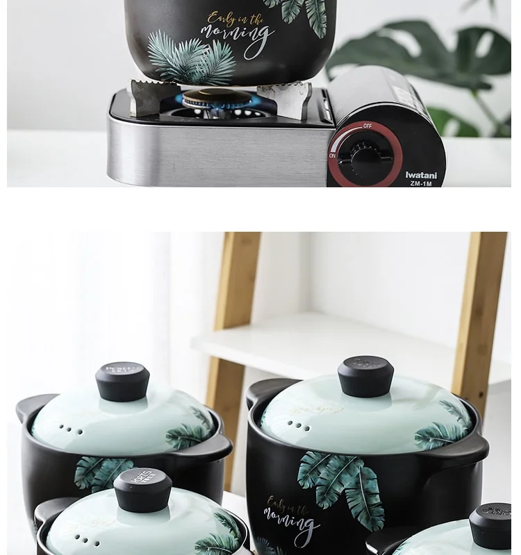Becware 养生陶瓷煲 陶瓷砂锅 优质陶瓷无涂层 蓄热保温 热带雨林 3L detail image 8
