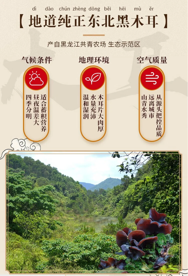 【中国直邮，时效10-15天】北大荒绿野东北黑木耳家庭装450g(150g*3袋) 肉厚无根 凉拌炒菜火锅食材 detail image 3