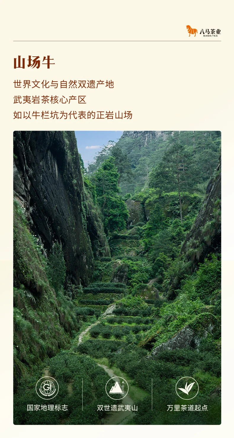 【中国直邮，时效7-15天】八马茶业 牛一12800【悦享版】·武夷岩茶·大红袍 51g 6包 detail image 4