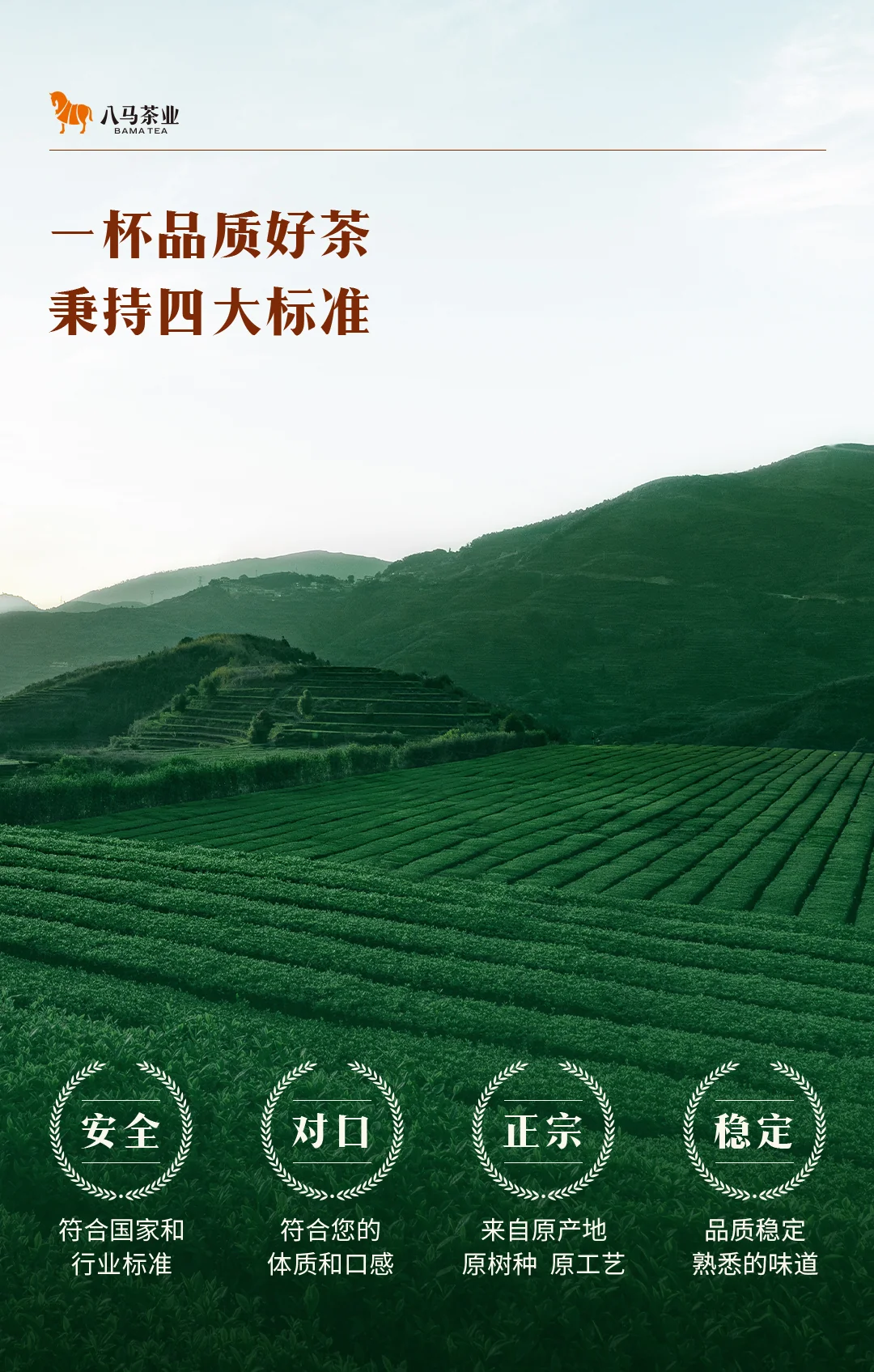 【中国直邮，时效7-15天】八马茶业 武夷岩茶 肉桂 乌龙茶 牛一12800悦享版 送礼茶叶 盒装 51g detail image 9