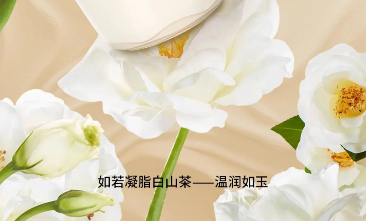 Amercook森林之花陶瓷奶锅 0化学涂层不粘锅 婴儿辅食锅泡面煮奶小锅 初见奶锅 2L 薄荷奶绿 18cm detail image 4