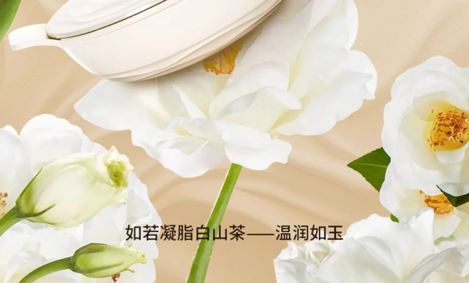 Amercook森林之花陶瓷不粘锅深煎锅 0氟平底锅家用煎牛排煎蛋锅 25cm 薄荷奶绿 detail image 4