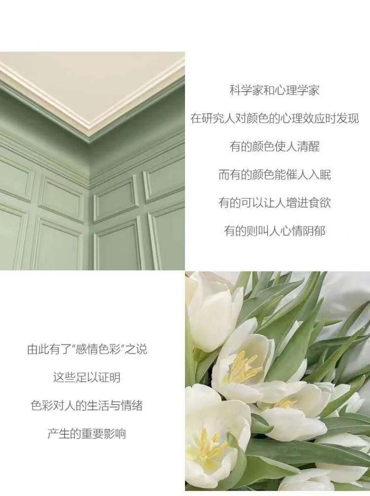【已下架】Amercook阿米尔 森林之花系列麦饭石不粘锅汤锅电磁炉燃气通用 24cm汤锅 detail image 2