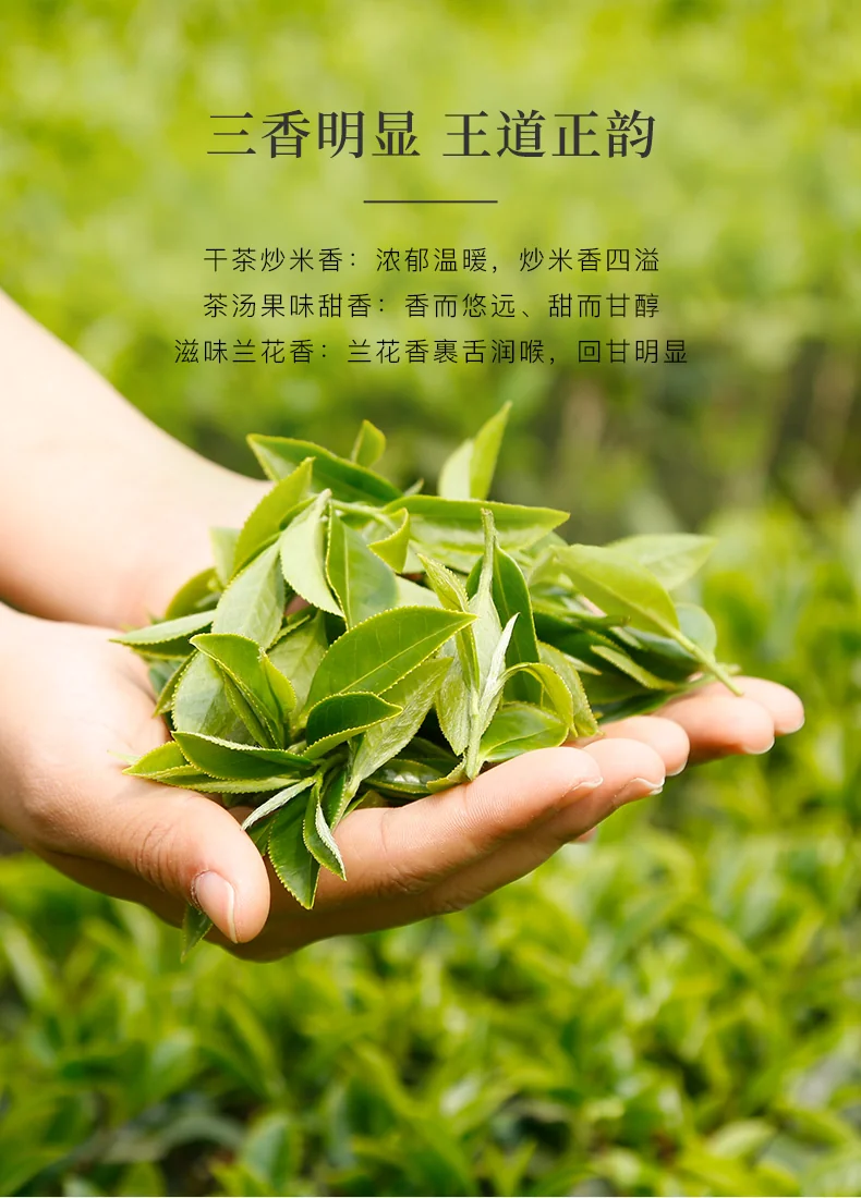 [Direct mail from China, delivery time is 10-15 days] Bama Tea, Anxi Tieguanyin, Pearl 1000, Tieguanyin Tea, Gift Box, 150g (9 Packs*2 Boxes) detail image 5