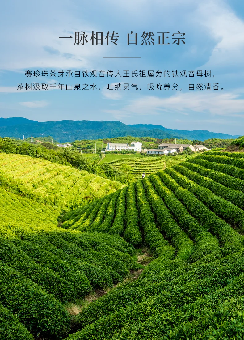 [Direct mail from China, delivery time is 10-15 days] Bama Tea, Anxi Tieguanyin, Pearl 1000, Tieguanyin Tea, Gift Box, 150g (9 Packs*2 Boxes) detail image 6
