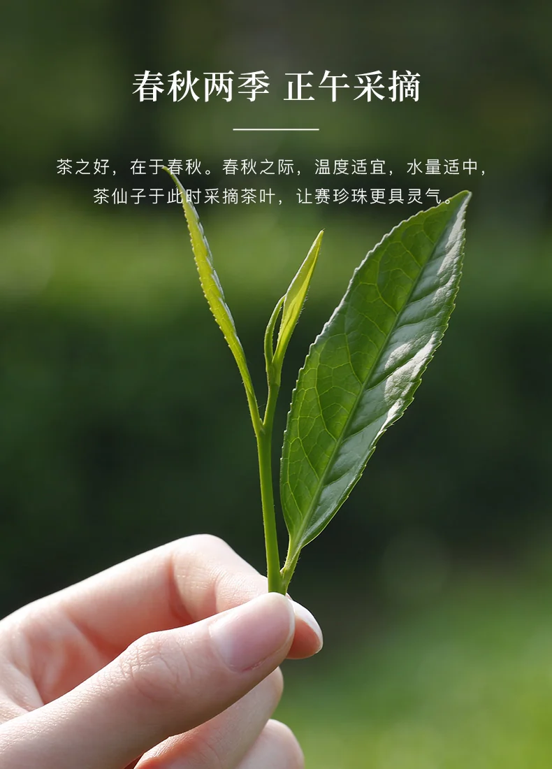 [Direct mail from China, delivery time is 10-15 days] Bama Tea, Anxi Tieguanyin, Pearl 1000, Tieguanyin Tea, Gift Box, 150g (9 Packs*2 Boxes) detail image 7