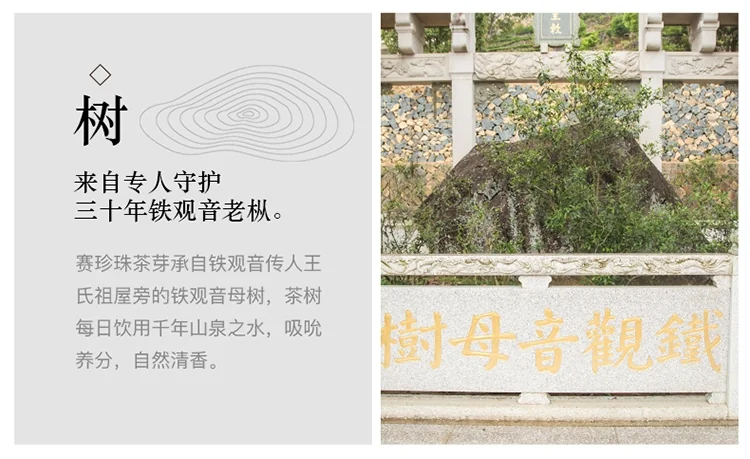 The light of East Lake Tie Guanyin Tea AA2172 Ecologically good tea with mellow taste detail image 5