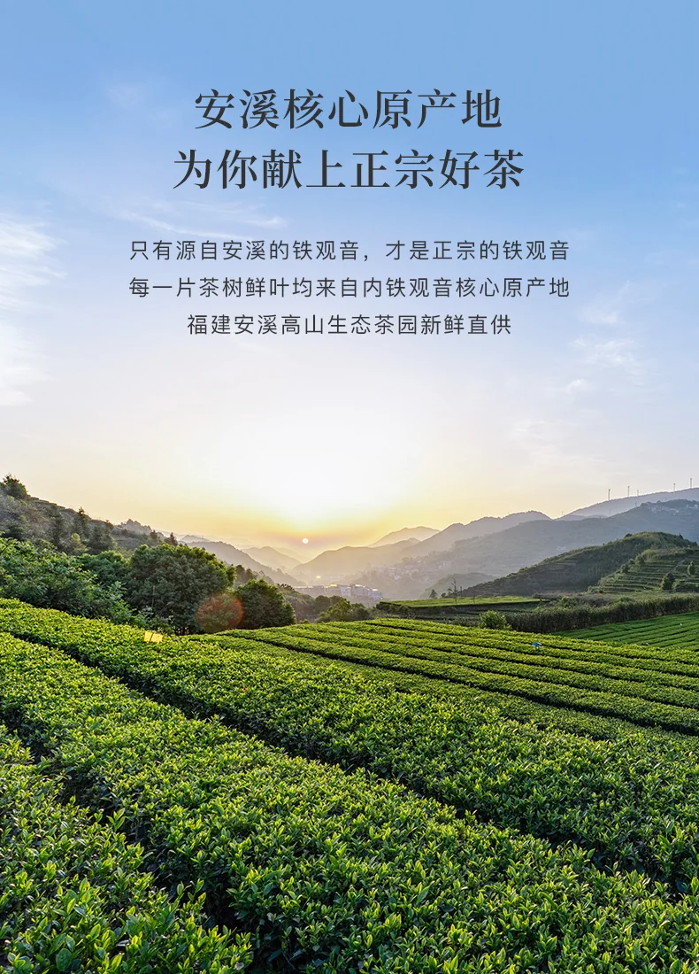 【中国直邮，时效7-15天】八马茶业 特级安溪铁观音 浓香型乌龙茶 赛珍珠 送礼茶叶 礼盒装 【赛珍珠1000】250g detail image 6