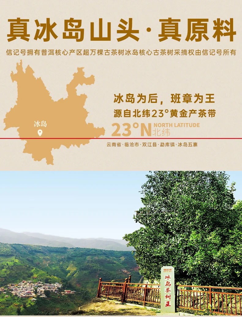 【中国直邮，时效7-15天】八马茶业 信记号(八马旗下品牌) 冰岛超柔普洱茶熟茶 熟普送礼茶叶 礼盒装 2019年茶料 200g detail image 11