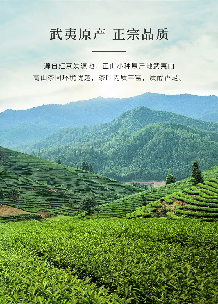 [Direct mail from China, delivery time is 10-15 days] BAMA Tea  Jinsuohong 500 Series Zhengshan Race 160g (40g * 4 cans) detail image 8