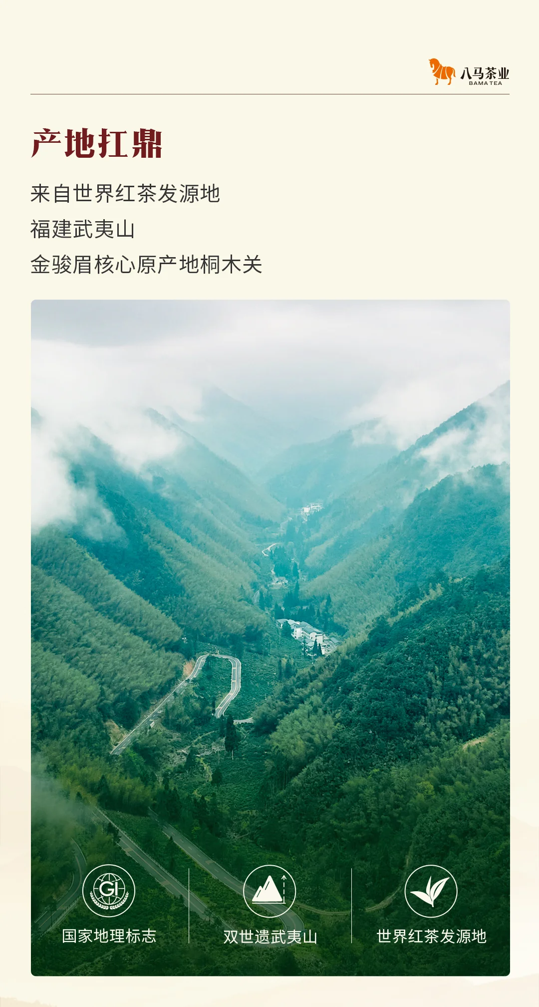 【中国直邮，时效7-15天】八马茶业 鼎红10000武夷红茶 特级金骏眉尊享装(50克 12包) 详情图 4