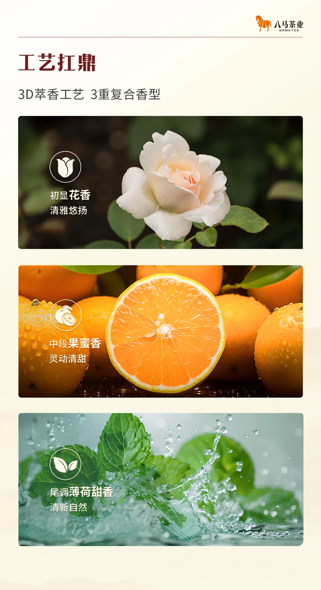 【中国直邮，时效7-15天】八马茶业 鼎红10000武夷红茶 特级金骏眉尊享装(50克 12包) 详情图 5