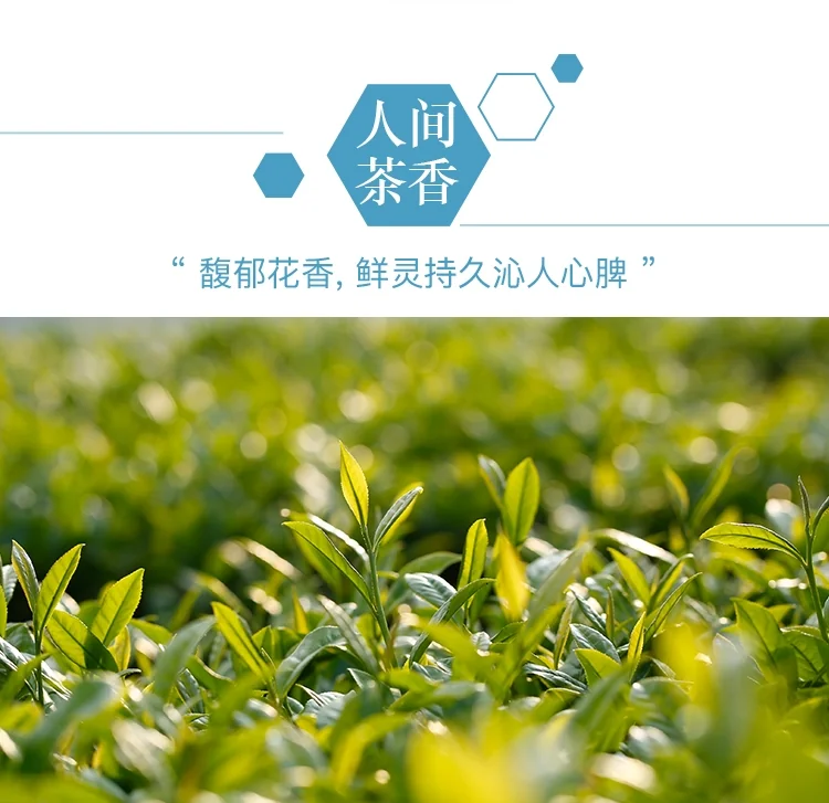 [Direct mail from China, delivery time is 10-15 days] BAMA Tea, Jasmine Tea, Scented Jasmine, Rich Floral Fragrance, Iron Canned, 100g (4g*25bags) detail image 2