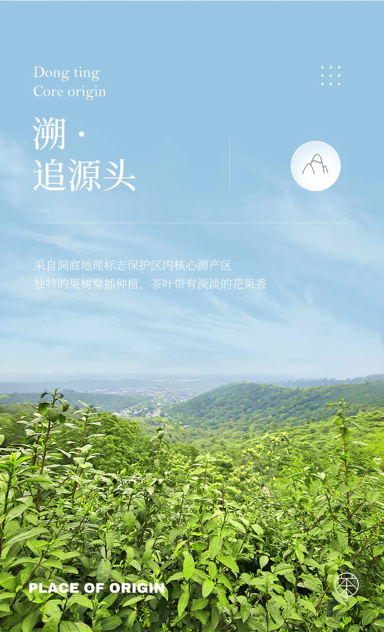 【中国直邮，时效7-15天】碧螺 2026年春茶绿茶 苏州洞庭碧螺春东山茶厂送礼一级100g明前新茶罐装 详情图 10