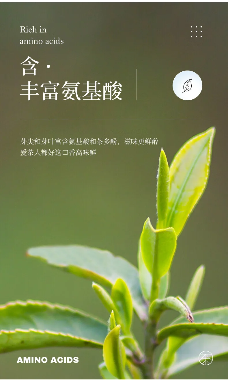 【中国直邮，时效7-15天】碧螺 2026年春茶绿茶 苏州洞庭碧螺春东山茶厂送礼一级100g明前新茶罐装 详情图 11