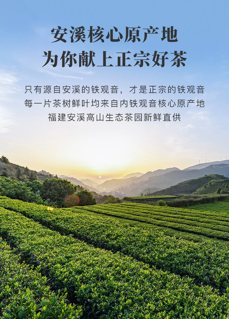 【中国直邮，时效5-12天】八马茶业 赛珍珠11111特级安溪铁观音浓香型乌龙茶 送礼茶叶礼盒装75g 礼盒装 75g detail image 6