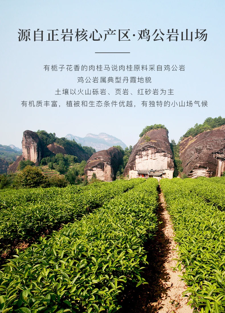 【中国直邮，时效5-12天】八马茶业马说6000·大红袍（76.5克） detail image 3