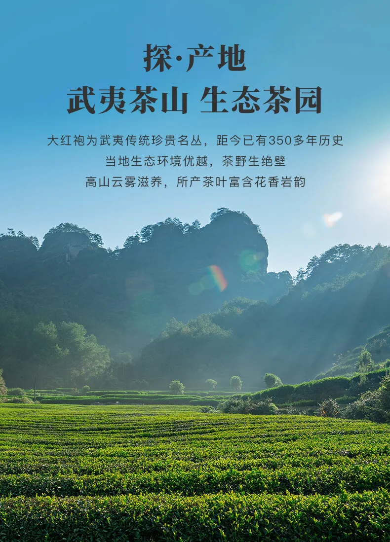 【下架】【中国直邮，时效5-12天】八马茶业入口知武夷岩茶大红袍（208g 26包） 详情图 6
